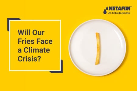 Cultivos en Riesgo: Cómo el Cambio Climático Afecta Nuestros Sabores Favoritos