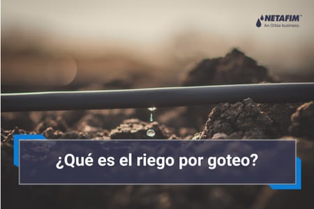 ¿Qué es el riego por goteo?