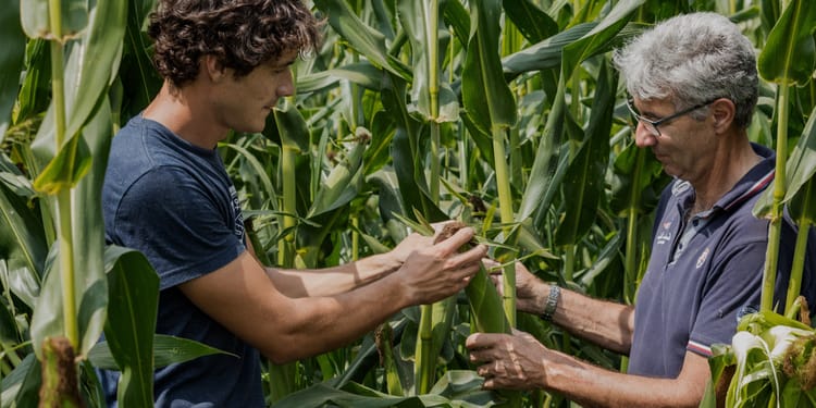 Innovación desarrollada por productores, para productores