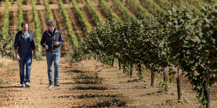 Conocimientos agrícolas