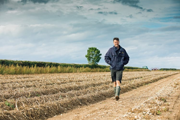 Processing potatoes, Norfolk, UK - Shoot 2 - 31